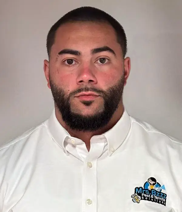 Brendan-Devera-Mrs-Bzzz